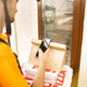 Image for article titled Survey: Delivery drivers want to eat your food